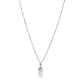 Emily Necklace N973 SS